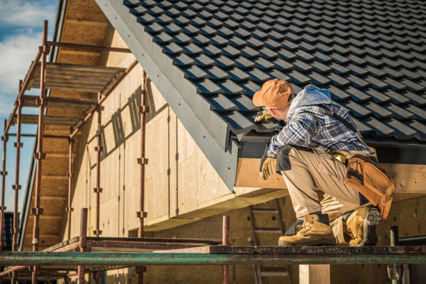 Best Steel Roofing  in Little Canada, MN