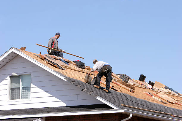 Best Emergency Roof Repair Services  in Little Canada, MN