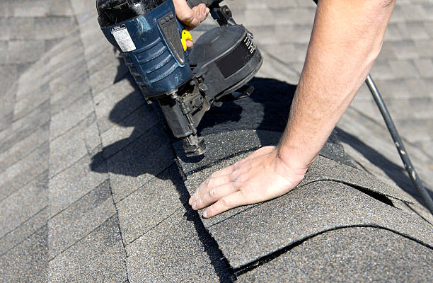 Best Skylight Installation and Repair  in Little Canada, MN